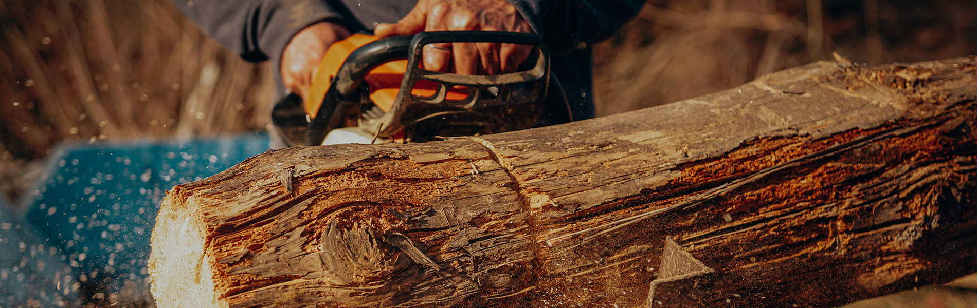 Chainsaw