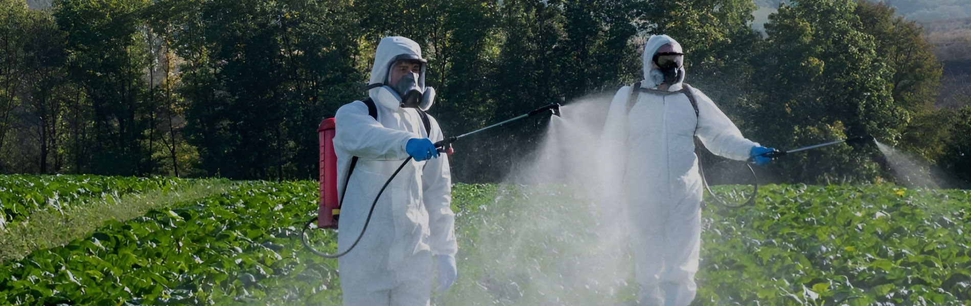 Pest Control
